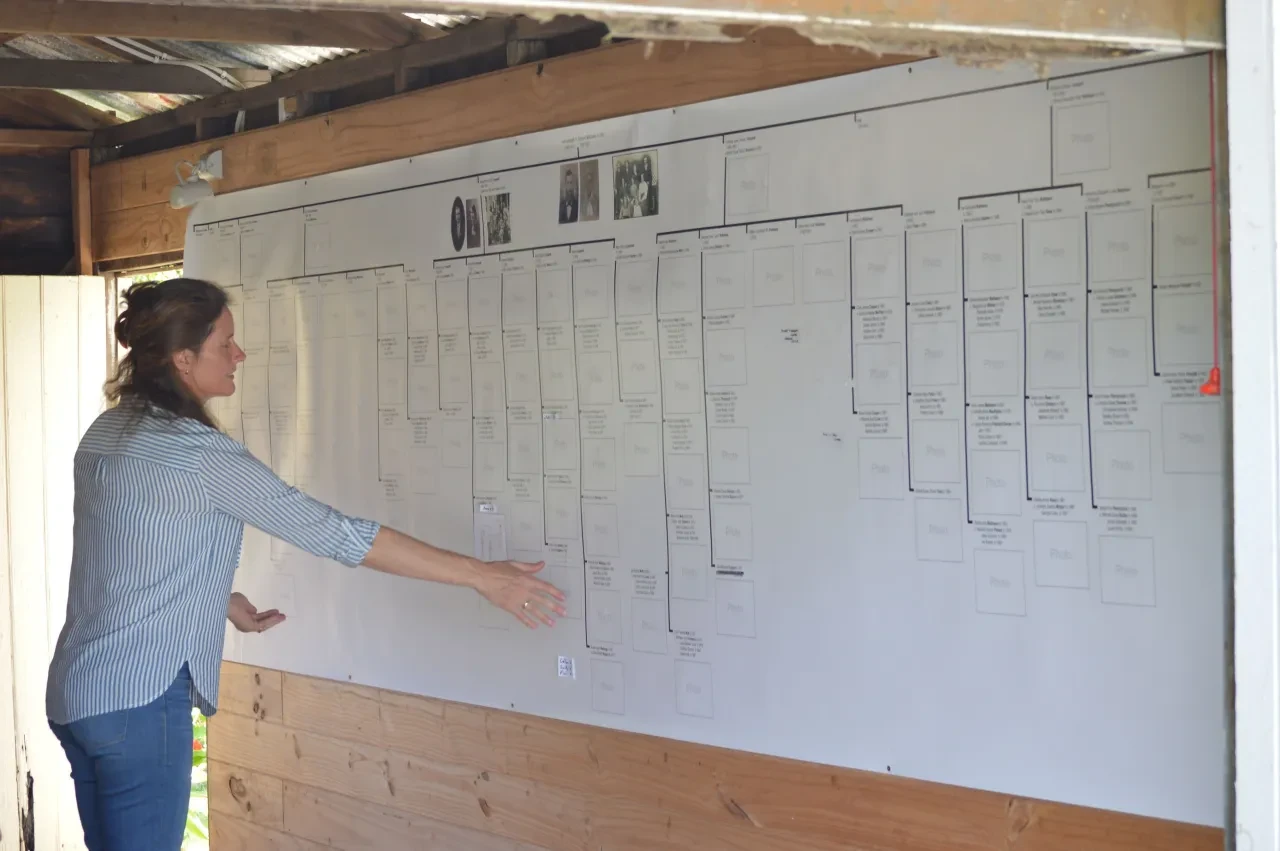 Campbell Family Reunion 2018 — family tree display
